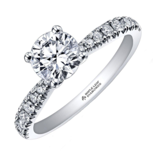 Maple Leaf Diamonds Circle of Life 18ct White Gold Diamond Solitaire Ring